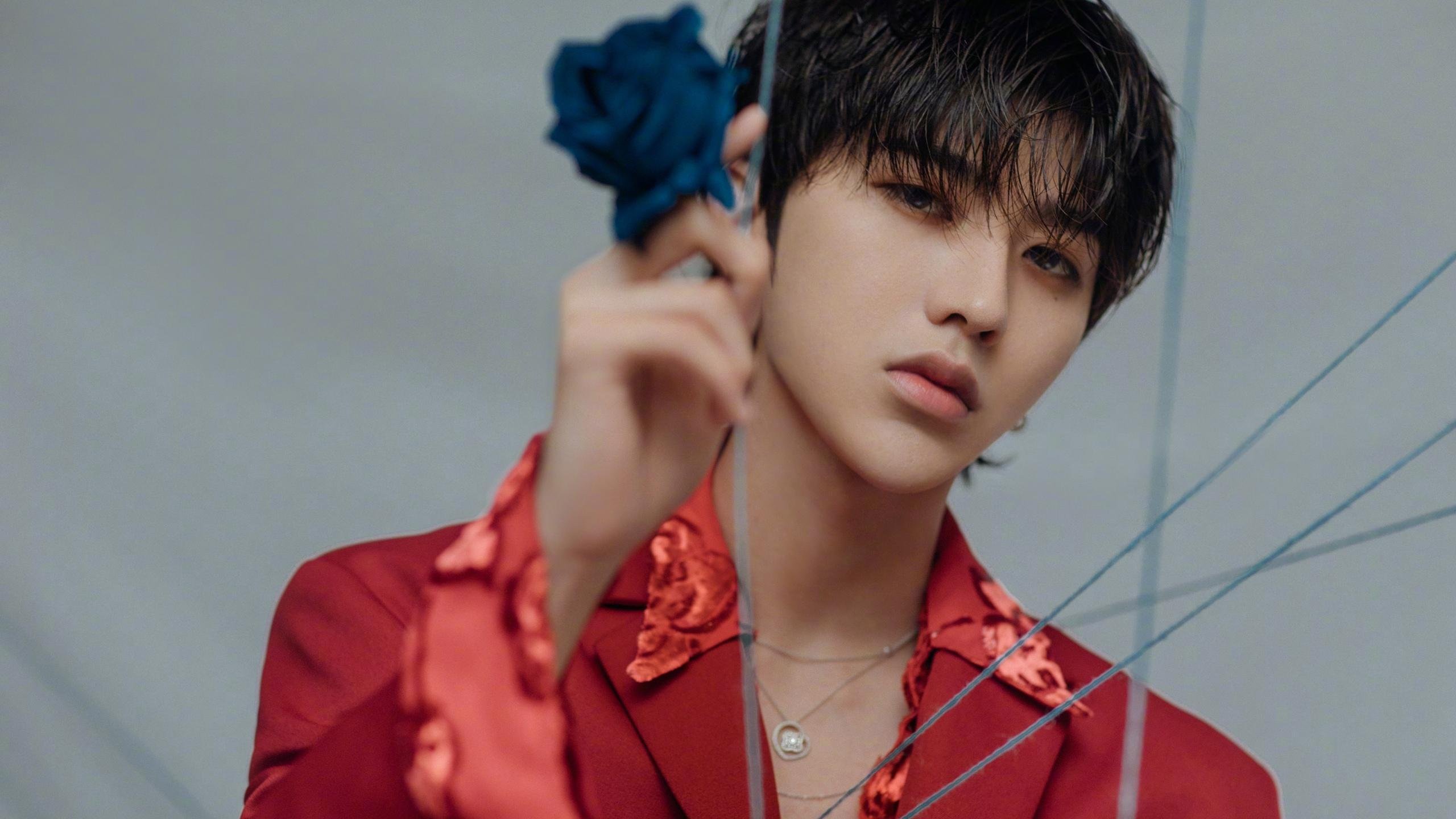 澳网完胜戴维斯杯，穆雷关键制胜的唯一性传奇