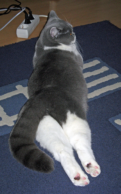 爱游戏官方入口-风暴眼，德布劳内改写历史的19分钟