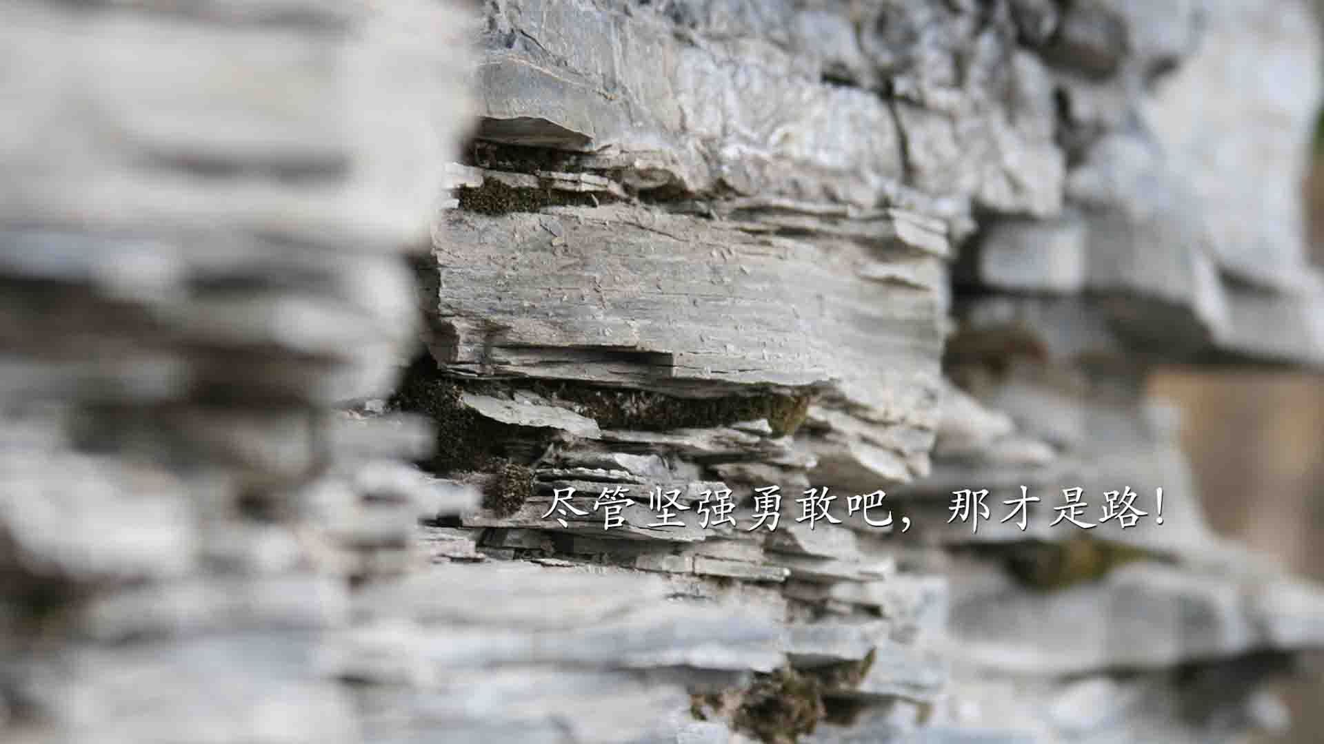 战吼与吟游诗人，当鹈鹕绝杀灰熊，字母哥正在赛场写诗