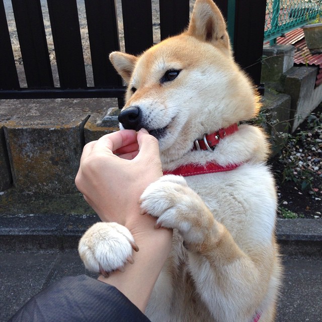 意甲焦点战之夜，足球场上的杜兰特式攻防转换核心