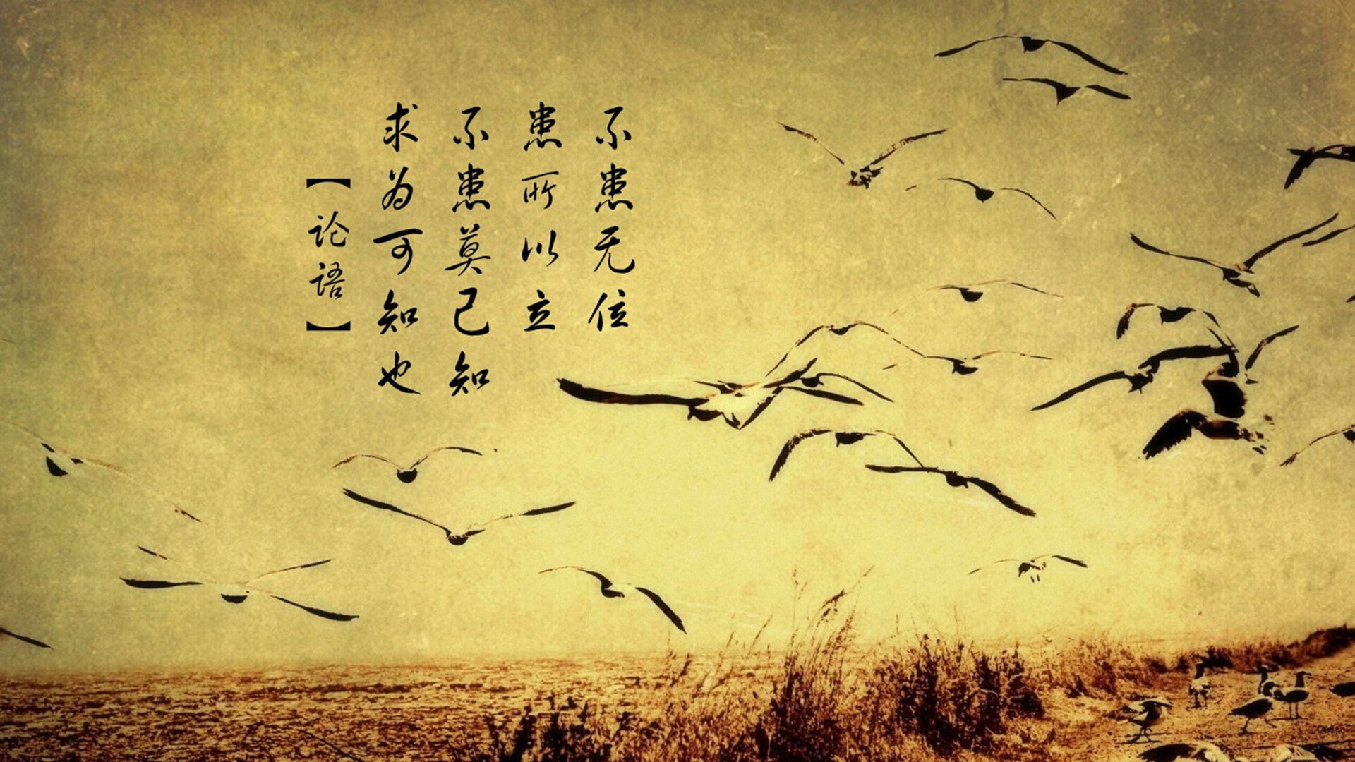 铁蓝风暴席卷非洲雄狮，工业足球的精密胜利，京多安用智慧击溃喀麦隆的野性