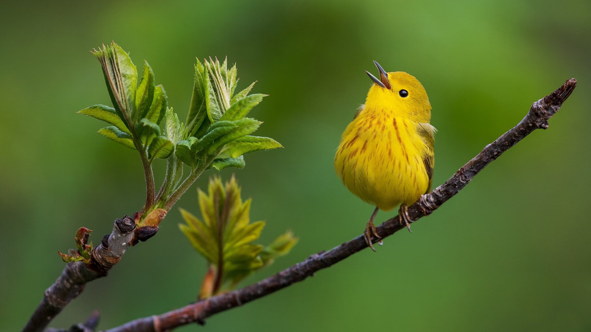 亚得里亚海与撒哈拉的对决，基耶萨，唯一穿越风暴的守护神