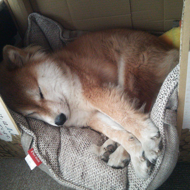 布雷默压哨绝杀！哥伦比亚上演惊天逆转，历史性击败AC米兰