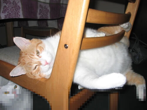 强势,当德国战车碾过土耳其的逆袭梦