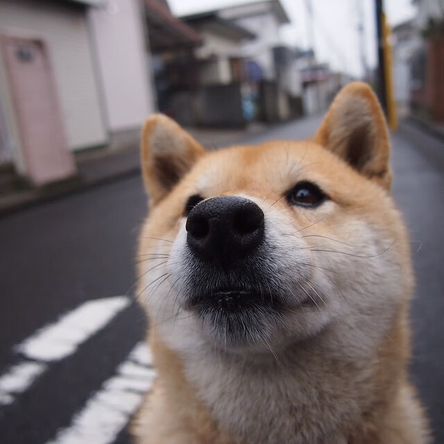 维也纳之夜,一场被定义为唯一的险胜—解码美国奥运周期关键战的真正价值