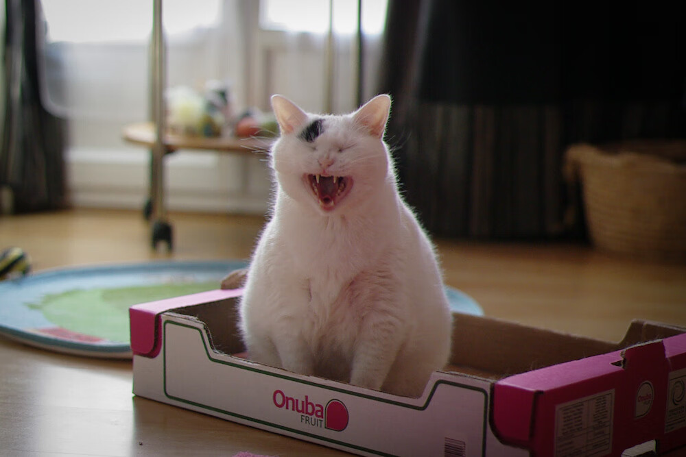 跨洋鏖战！克利夫兰骑士险胜深圳，贝恩末节封神定乾坤