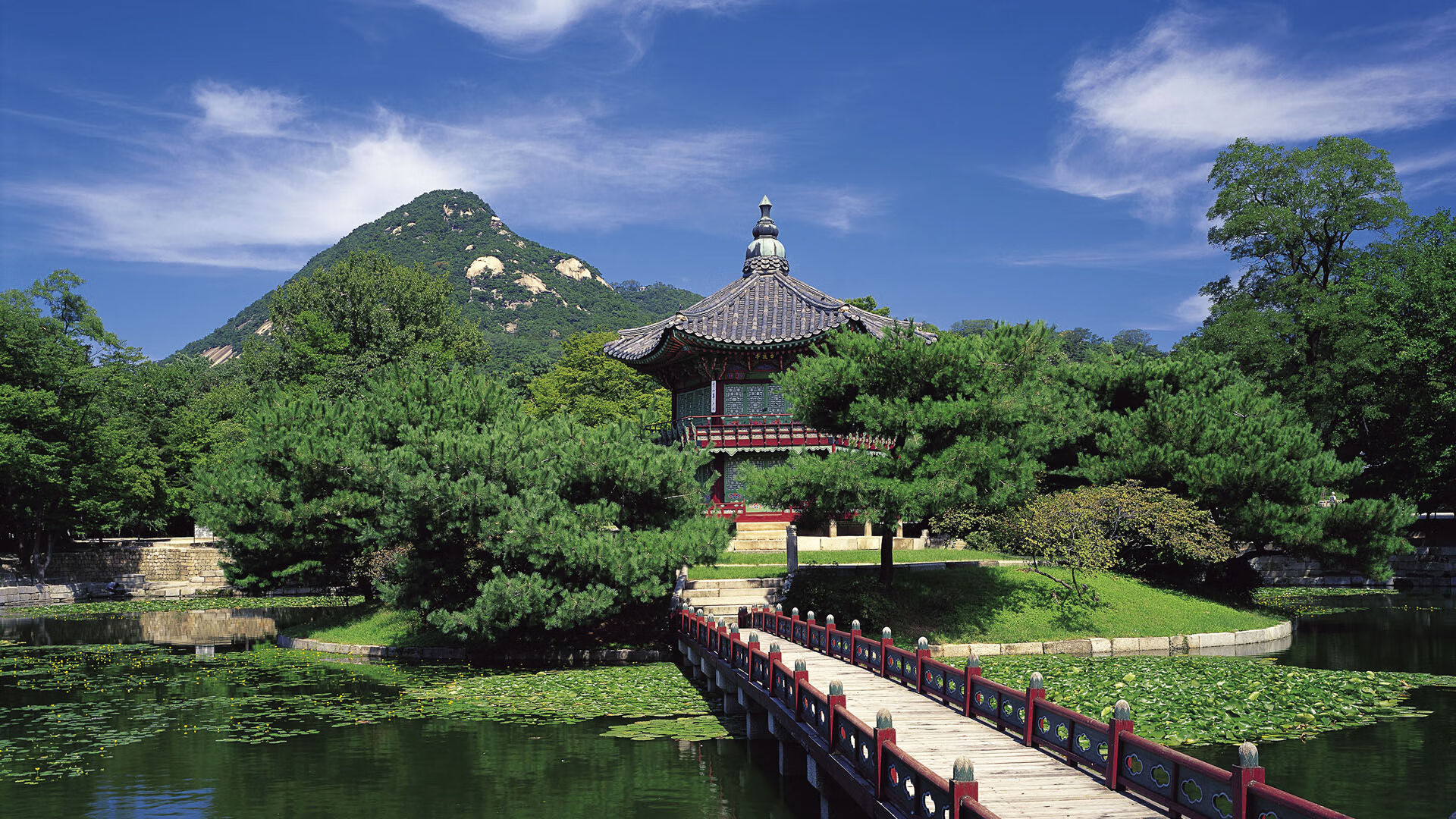 闪电战中的艺术家，戈麦斯完美演绎，洪都拉斯三球速胜卡塔尔