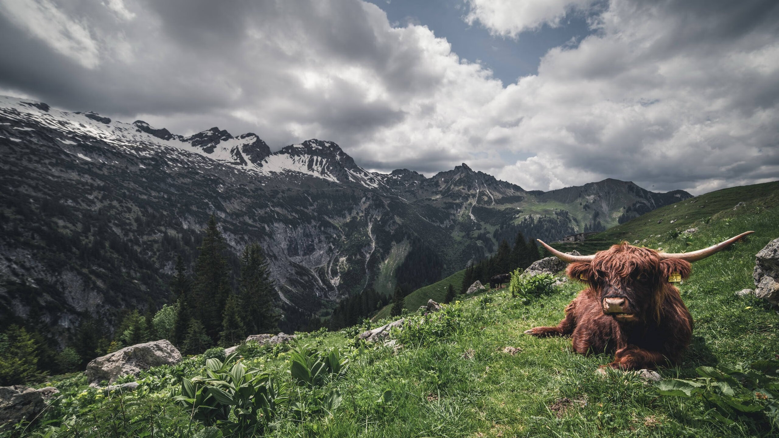当绿茵法则降临硬木地板，尼克斯以欧冠级铁血踏平魔术