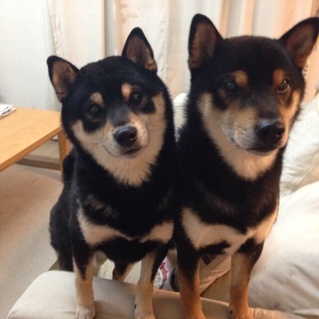 后梅罗时代,当挪威铁骑撞碎巴萨,2026的绿茵交响诗由谁执棒?从特隆赫姆的寒风中,到北美大陆的炽热舞台,足球权杖的隐秘传递