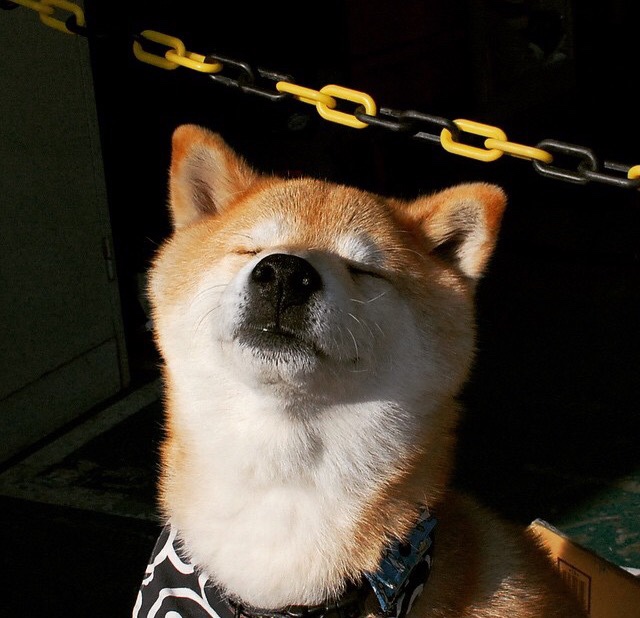 钢铁之墙对波斯铁骑,奥运周期关键战,沙特突围伊朗的终极战术博弈