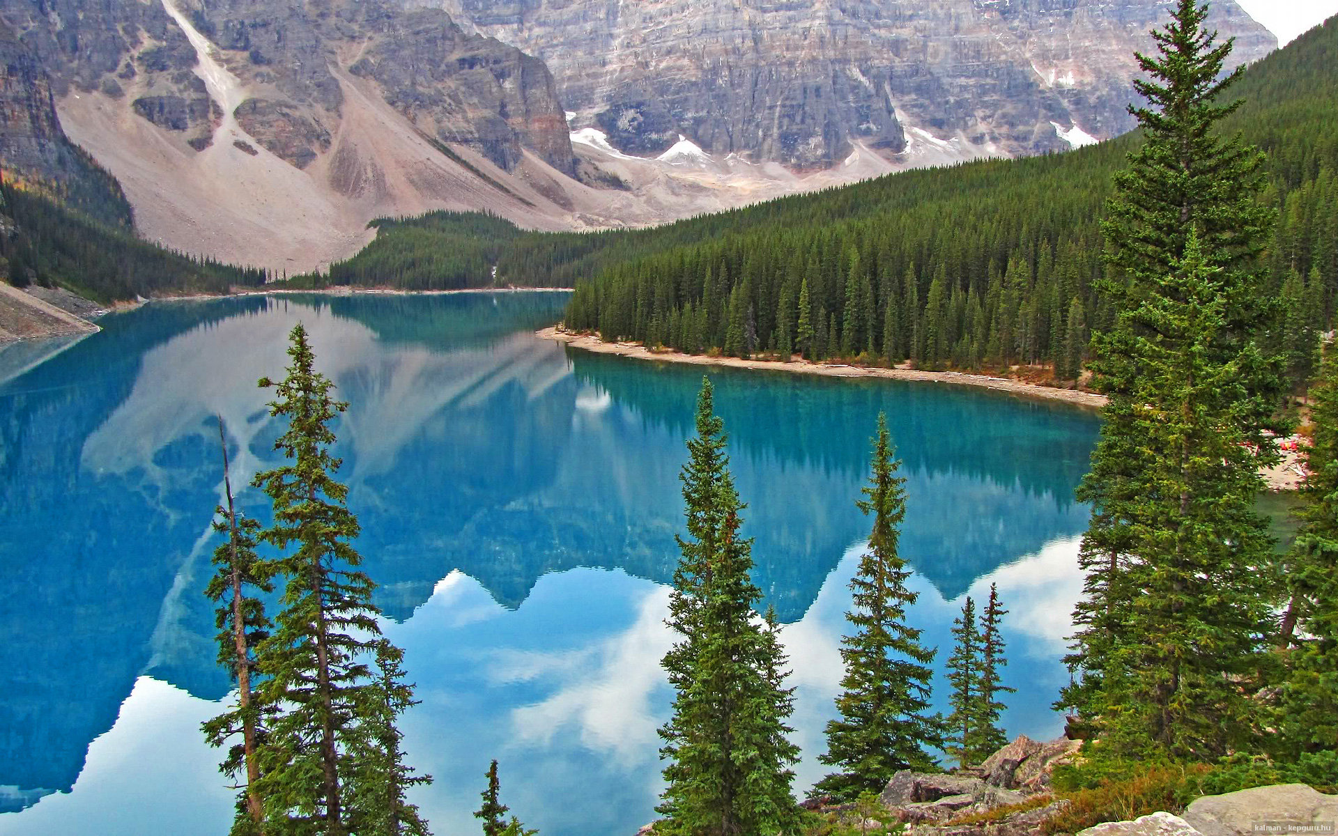 NBA季后赛之夜,法比尼奥的压制级发挥,一次体育世界的美丽错误