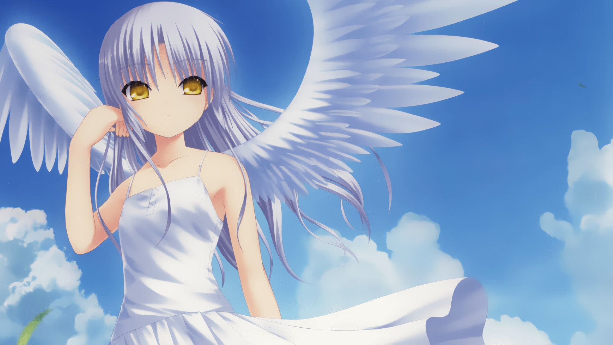 当小贾伦驶入死局，那个F1之夜里，维斯塔潘的尾灯是唯一的星图