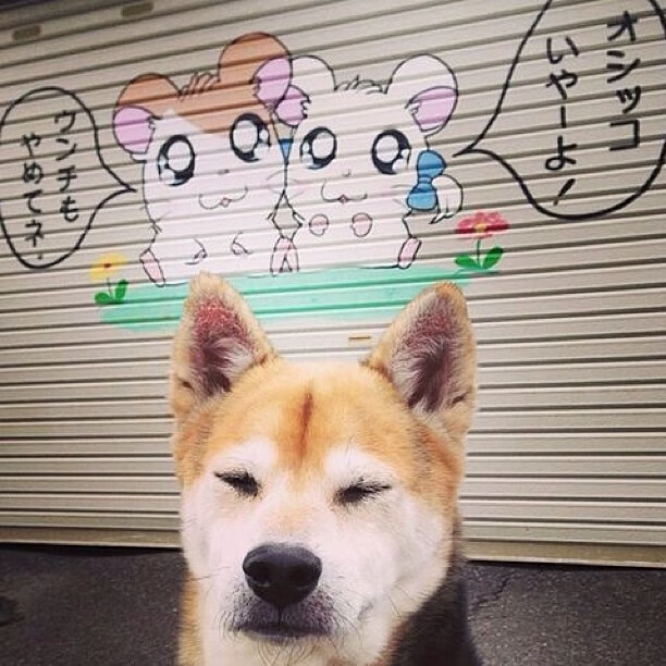 守护洛杉矶的紫色巨人，浓眉西决生死夜存在感拉满，成为湖人防线终极答案