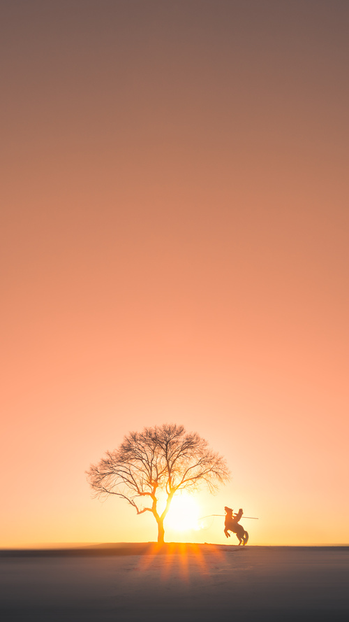 奇迹之夜，巴雷拉关键节点连续得分，新西兰爆冷皇马