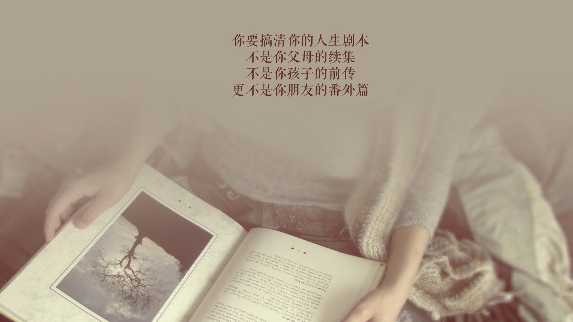 中场铁锁定乾坤，托纳利如何成为2026世界杯D组罗马尼亚对葡萄牙一役的胜负手