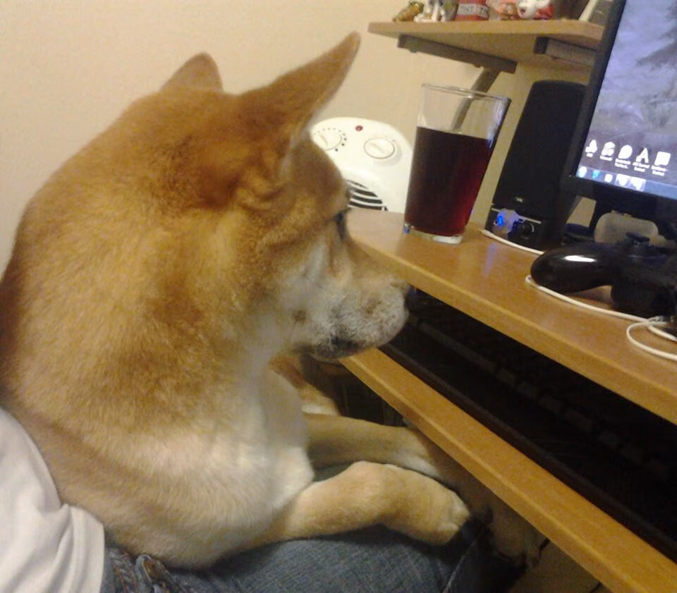 （扩展思维）